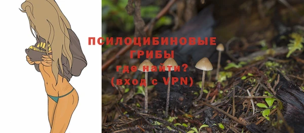 mix Абаза